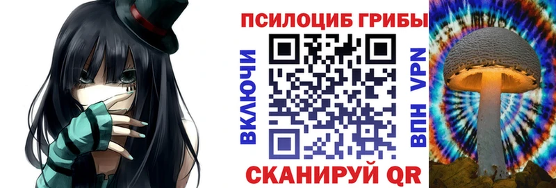 Галлюциногенные грибы Psilocybe  ссылка на мегу зеркало  Юрьевец 
